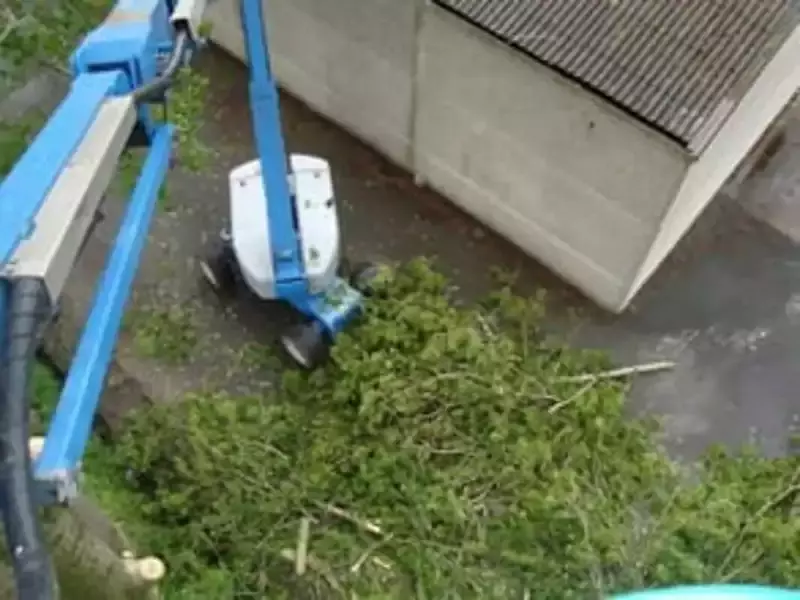 De Kesel Agri & Bomen