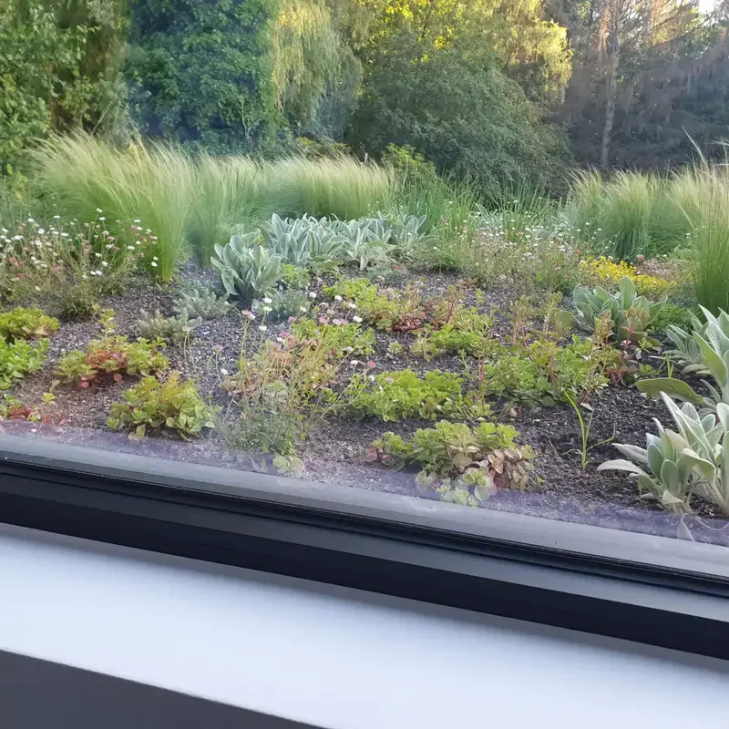 Semi intensief groendak op aan aanbouw