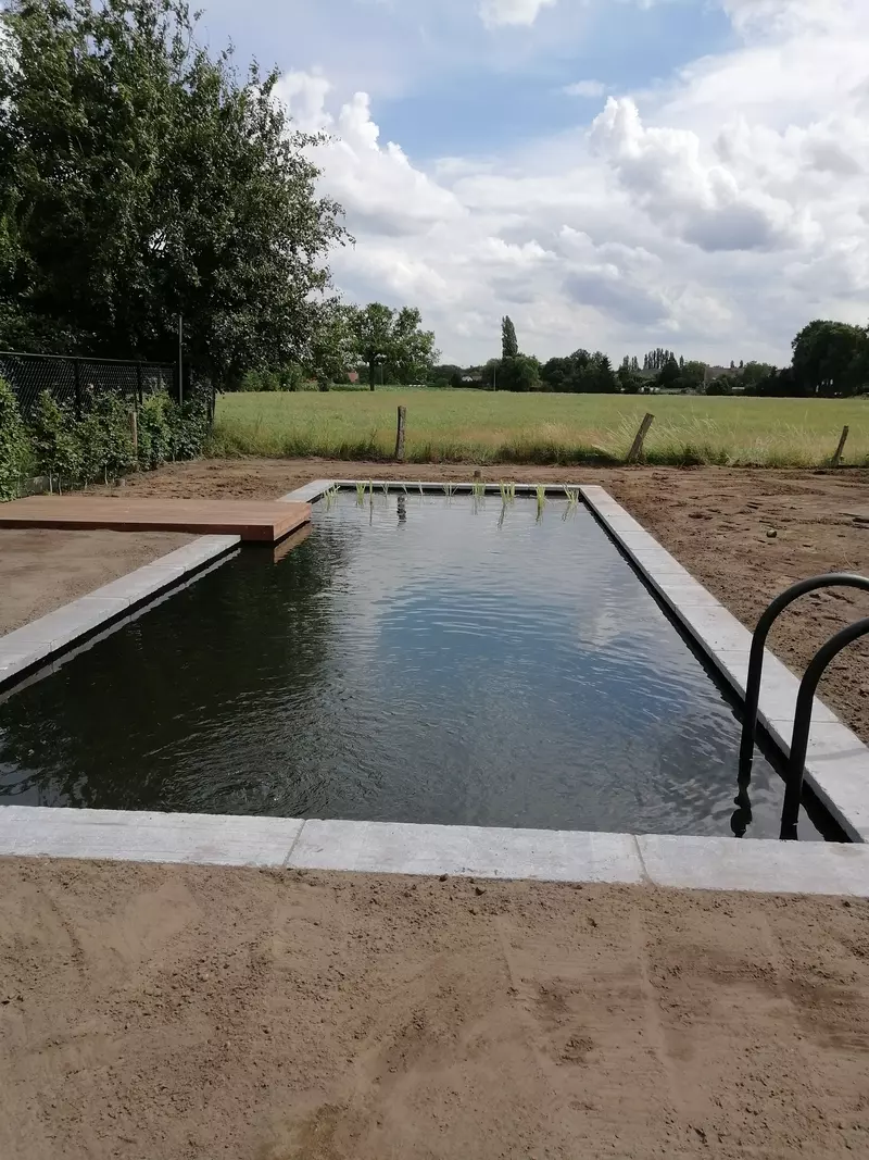 zwemvijver in landelijk gebied
