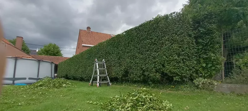 Engelhardt Tuinonderhoud
