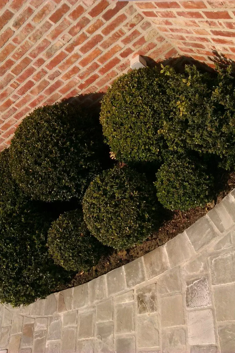 Engelhardt Tuinonderhoud