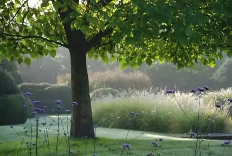 Eric Sels Tuinarchitectuur