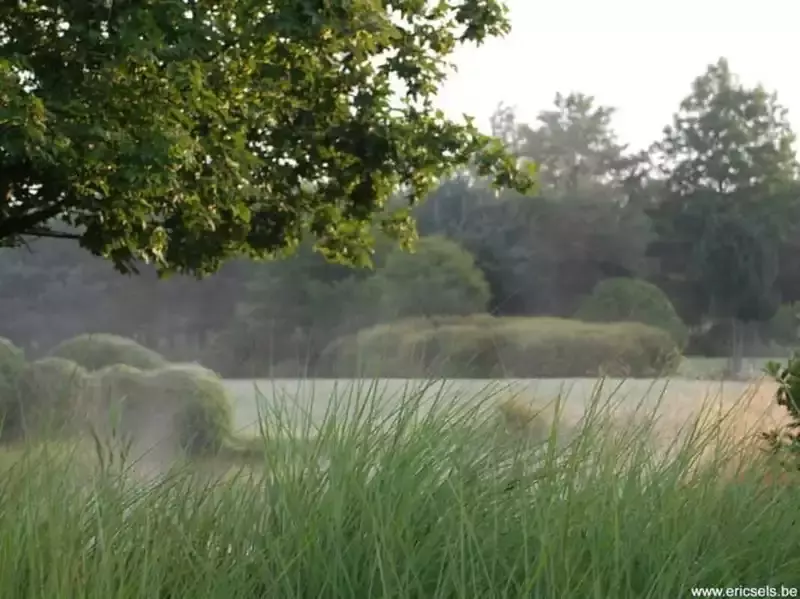 Eric Sels Tuinarchitectuur