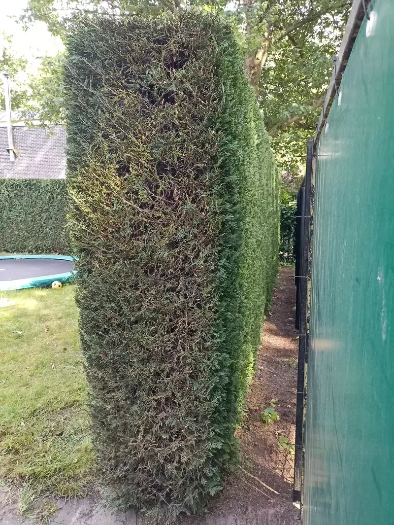 Flora Worx bv