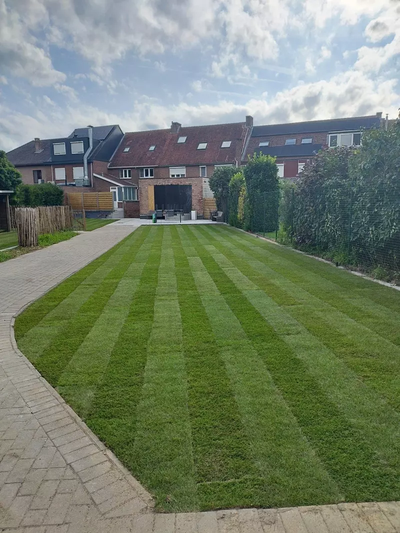 Gazon aanleg (grasmatten) 
