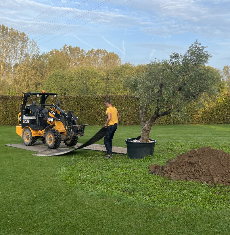 Geeroms Tuinwerken bv