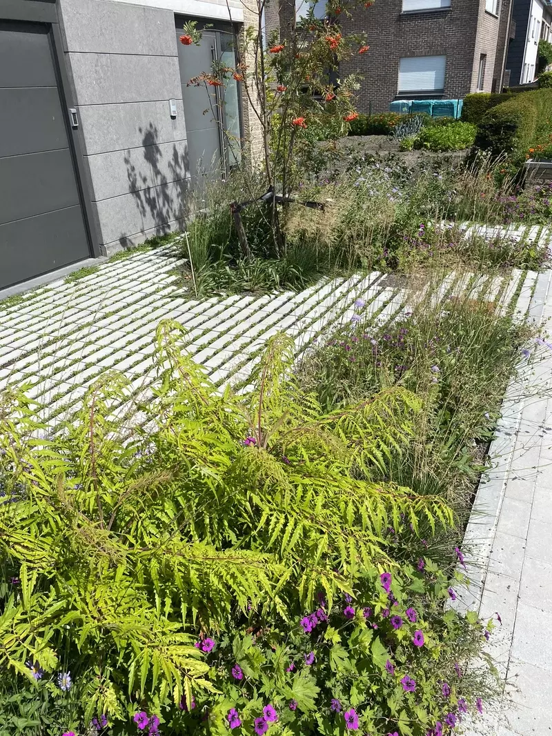 Groenprojecten Ghijs