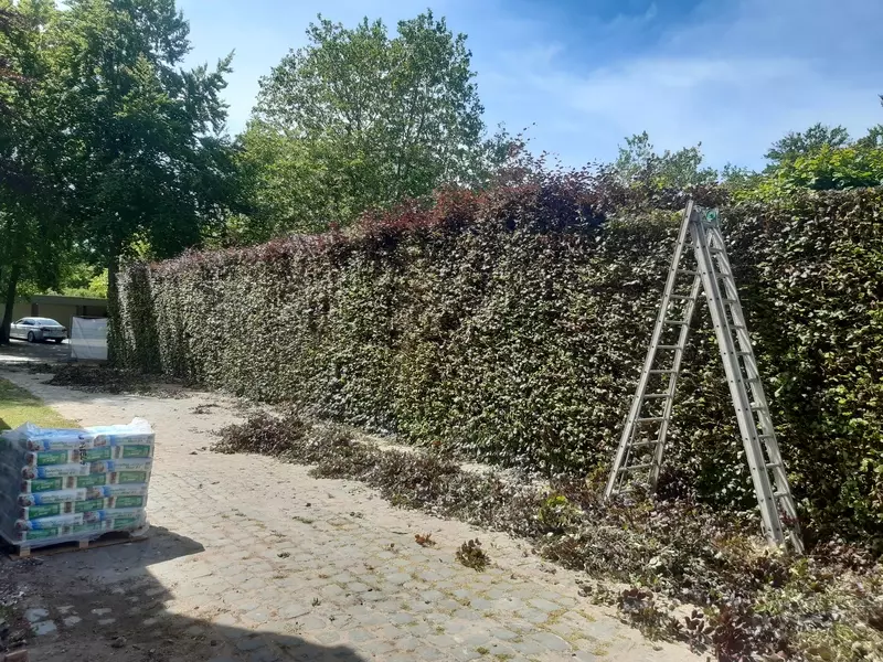 GroenWerk