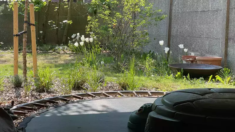 Aanleg biodiverse, grotendeels eetbare tuin