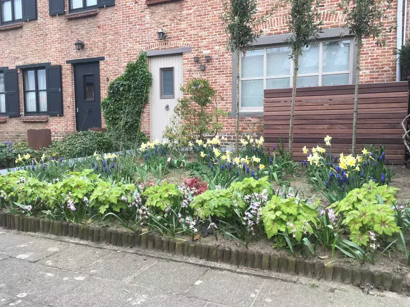 Heraanleg voortuin - Ekeren