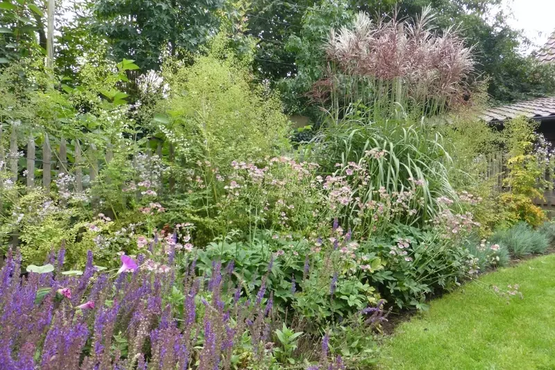 Weelderige tuin - Bilzen