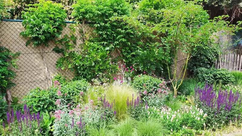 Naturalistische tuin