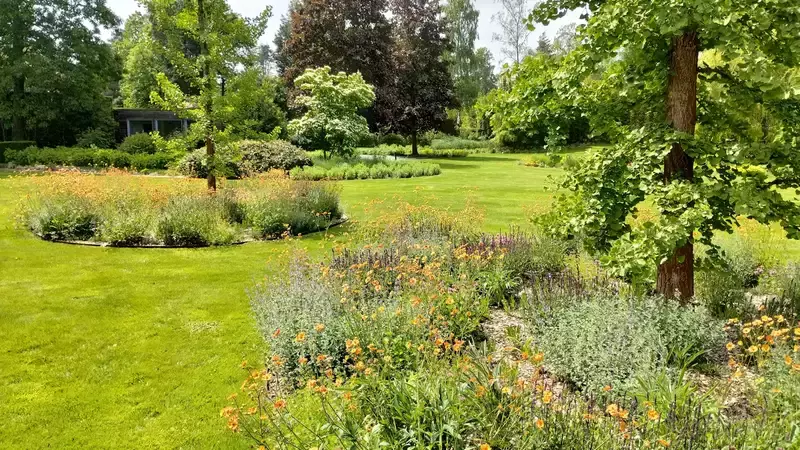 Bloeirijke boomspiegels