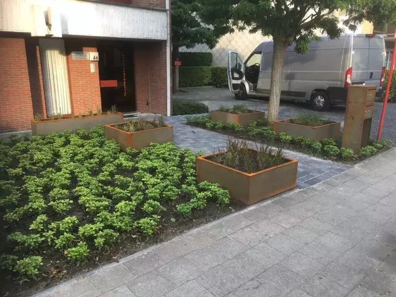 Ontwerp en aanplantingen