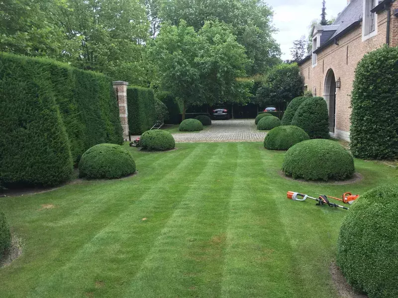 Onderhoud en snoeiwerken