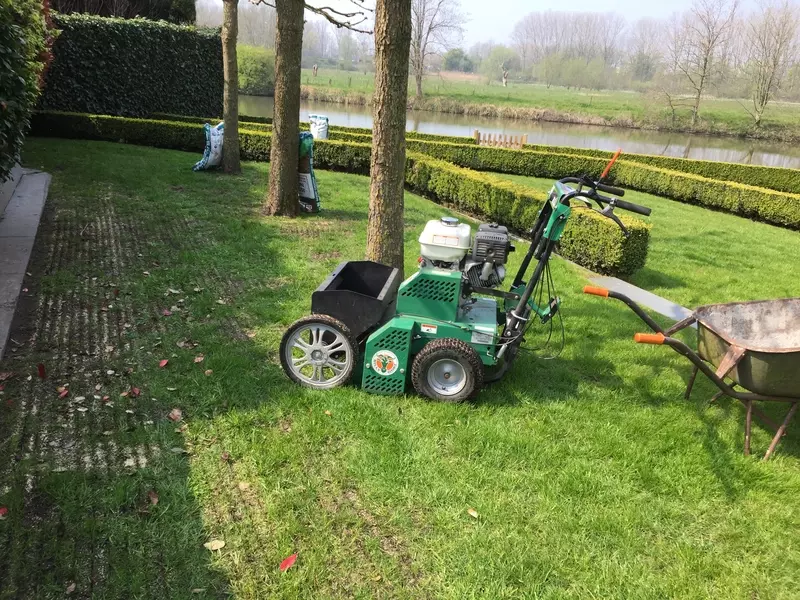 Doorzaaien, verticuteren, verluchten gazon, renoveren, bemesting ...