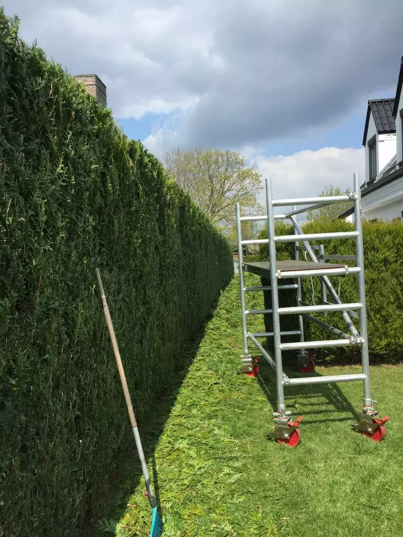 Hagensnoei met stelling
