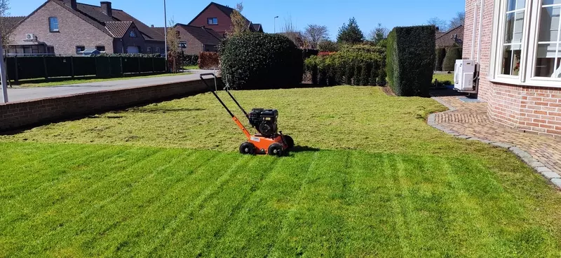 Onderhoud gazon (verticuteren) 