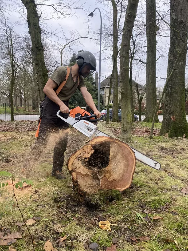 Jerôme Boomwerken BV