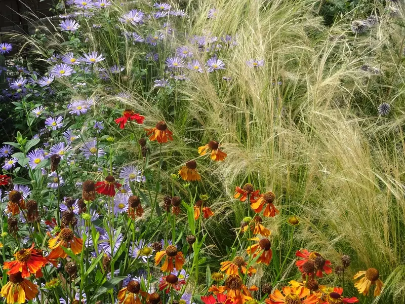 Julian's Garden Design