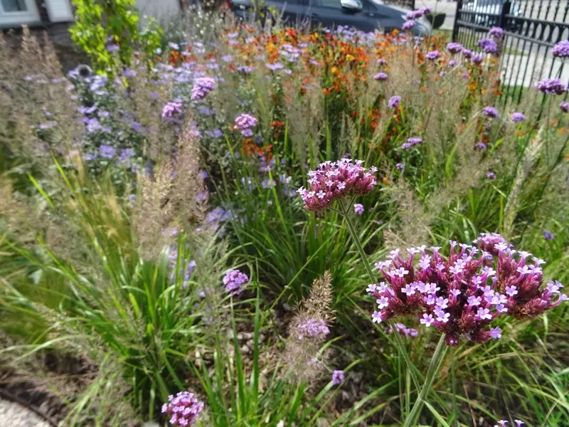 Julian's Garden Design