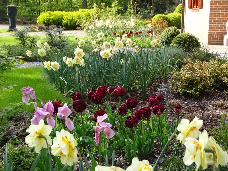 Julian's Garden Design