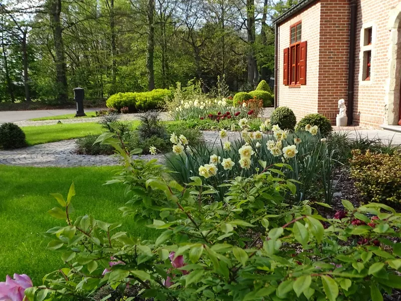 Julian's Garden Design