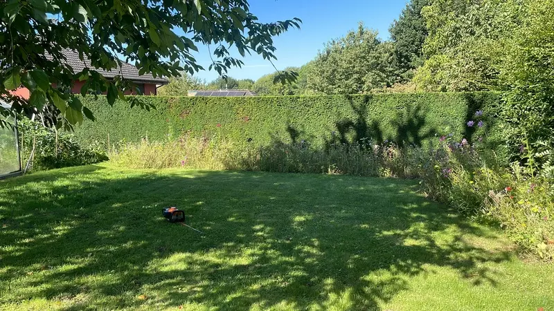 Onderhoudswerken tuin