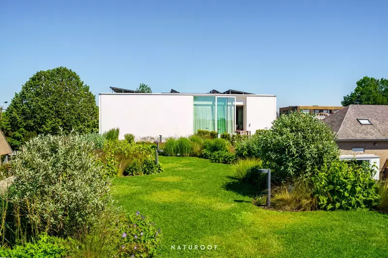Intensief groendak met gazon en vaste beplanting in Roeselare