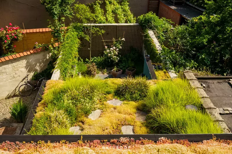 Semi-intensief groendak met grassen en vaste beplanting in Gent 