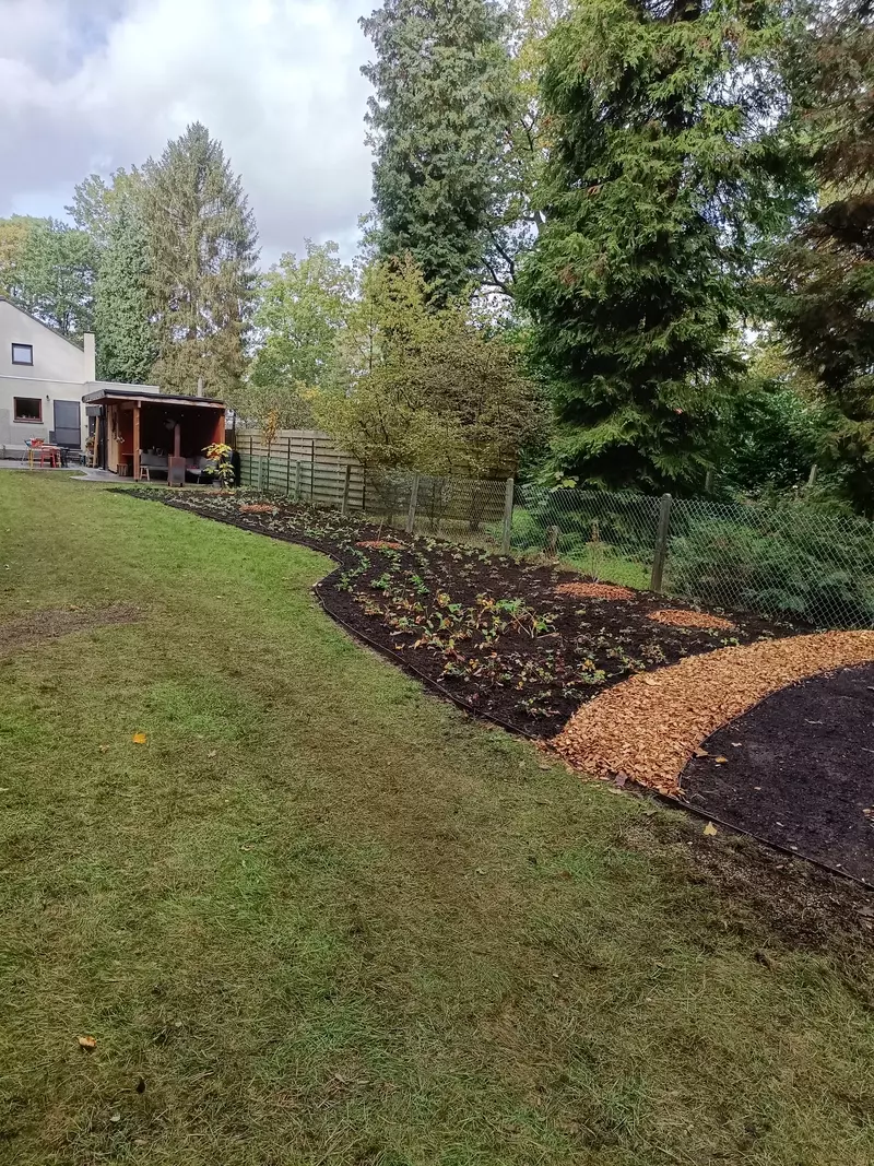 Verkleining van het gras oppervlak, welke plaats heeft gemaakt voor een gevarieerde border.