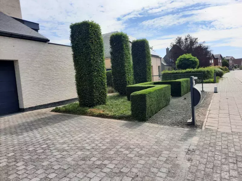 Snoeiwerken