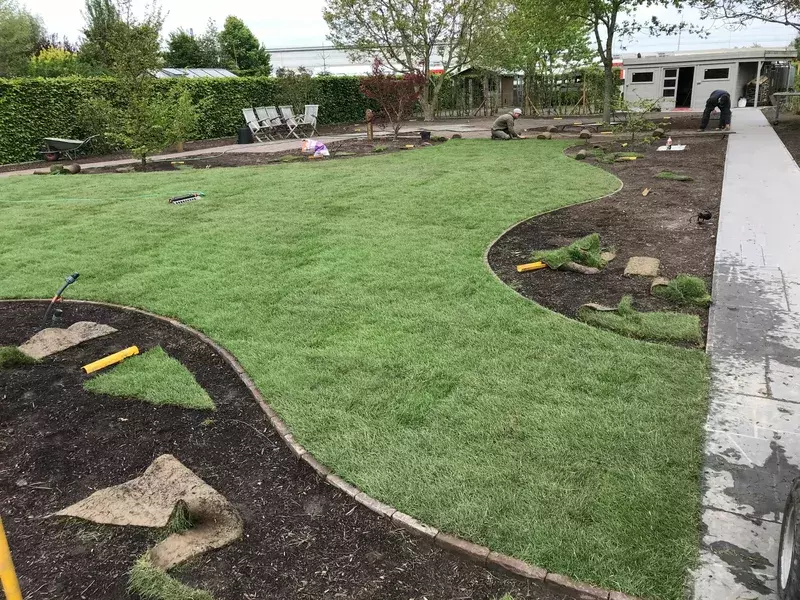 Aanleg nieuw gazon dmv graszaden