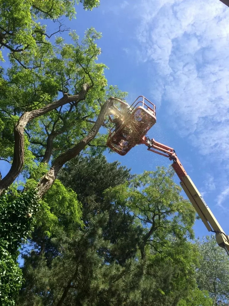 TUINEN STEFAAN BV