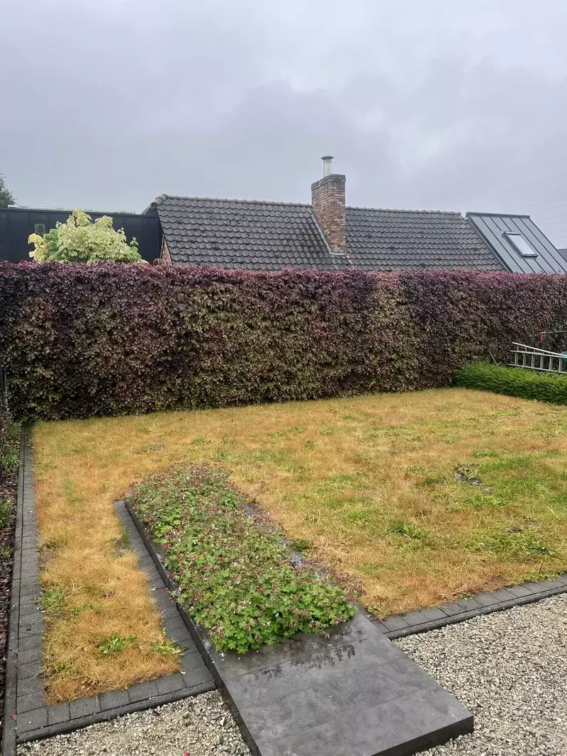 Tuin & Boomwerken GS