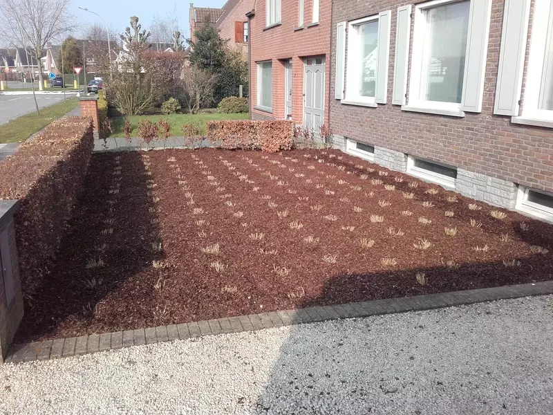 Tuinaanleg en -onderhoud Bert Dekock
