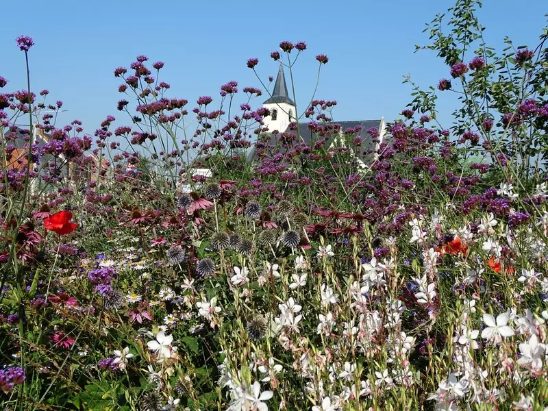 Tuinarchitectuur Ann Muyldermans
