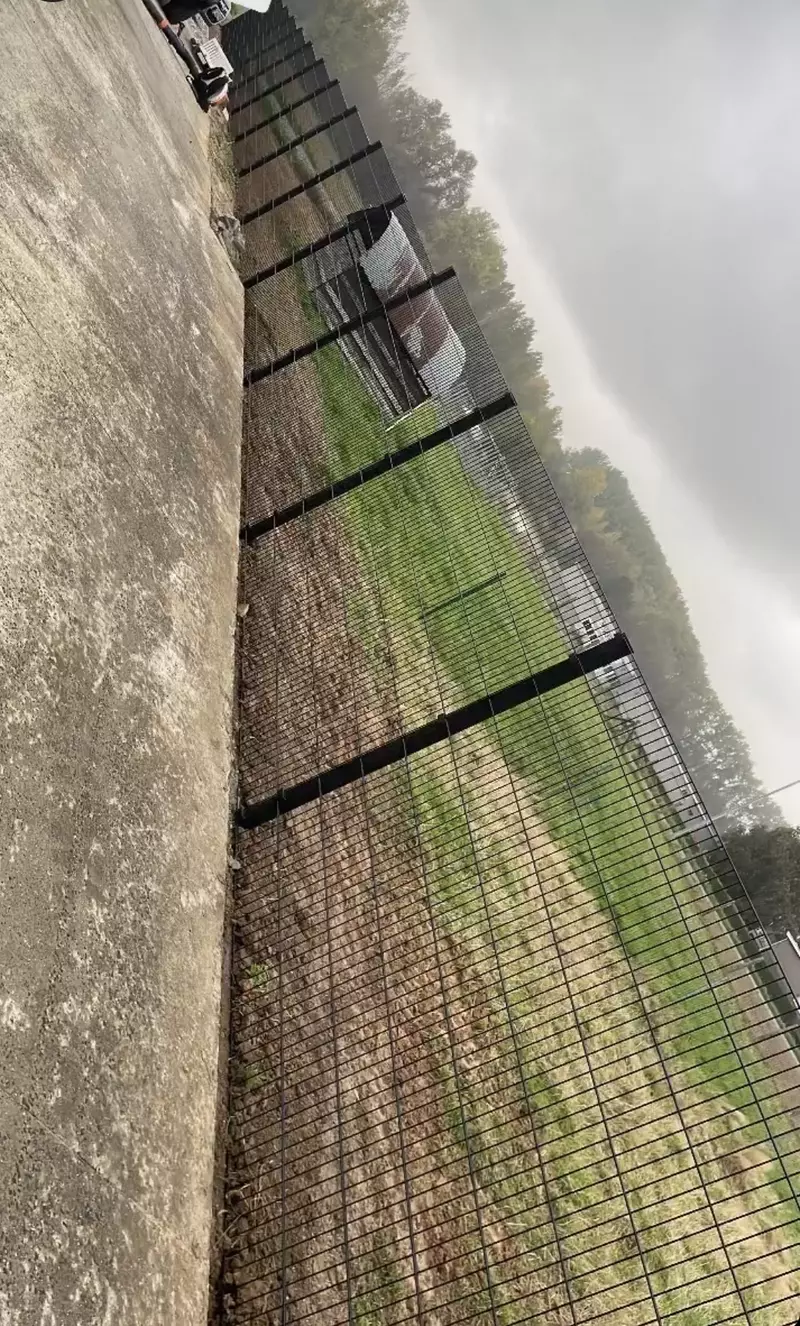 Tuinbeau