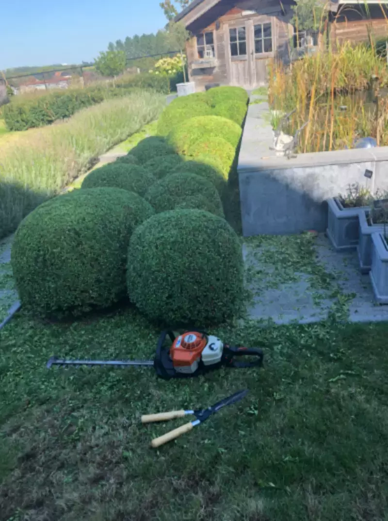 Tuinbeau