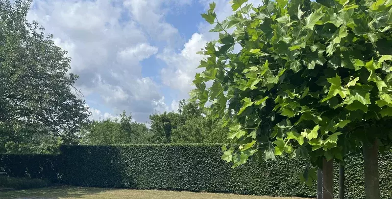 Tuinonderhoud Vranckx