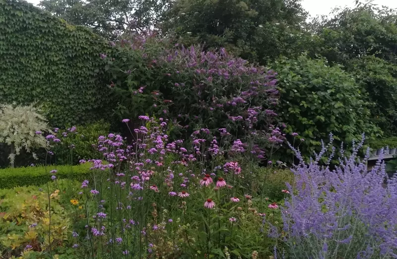 Bloemenborder