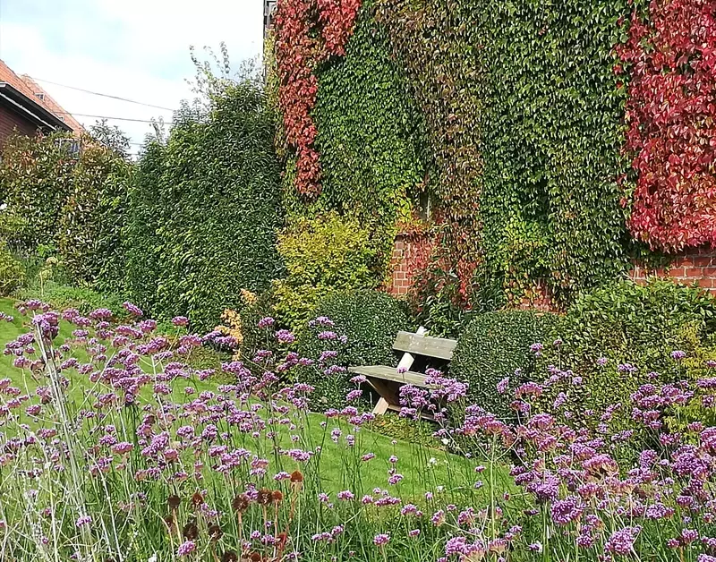 Muurbeplanting
