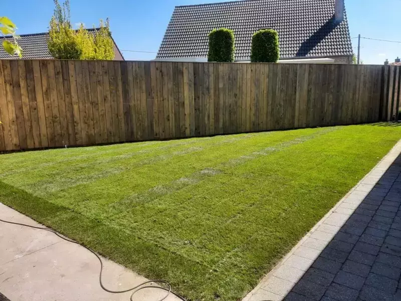 Aanleg van nieuw gazon D.M.V Graszoden en een wandbekleding in steigerhout 