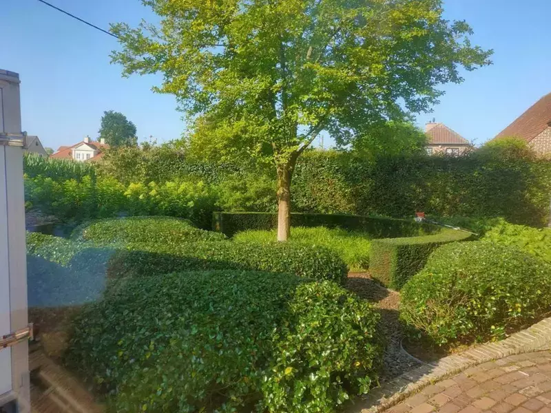 Vormsnoei / Onderhoud Voortuin 
