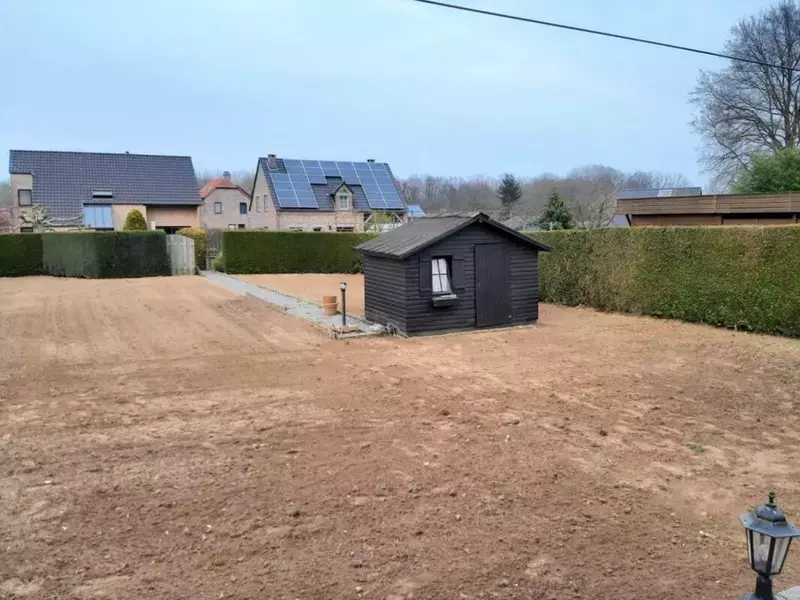 Inzaai van gazon na verwijderen van Bomen en struiken. 