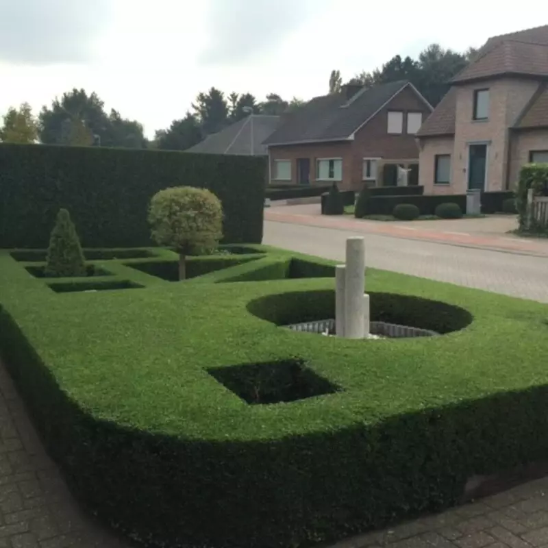 snoeiwerken