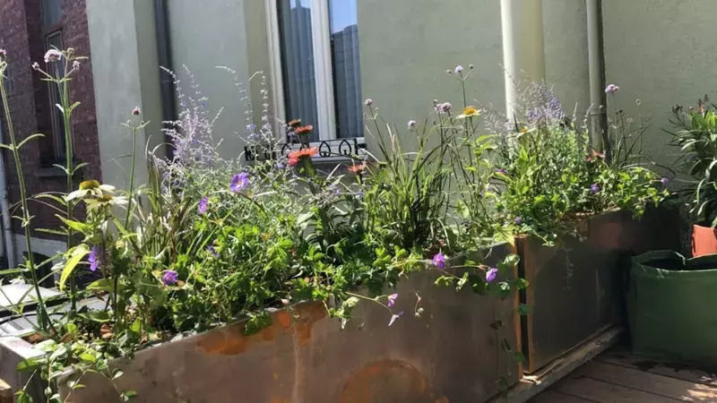 Cortenstaalbakken op maat gemaakt met aanplanting