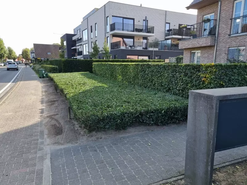 Snoeien van hagen en groenonderhoud appartementsgebouw