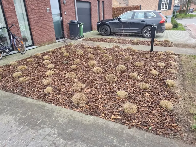 Groenonderhoud particuliere tuin