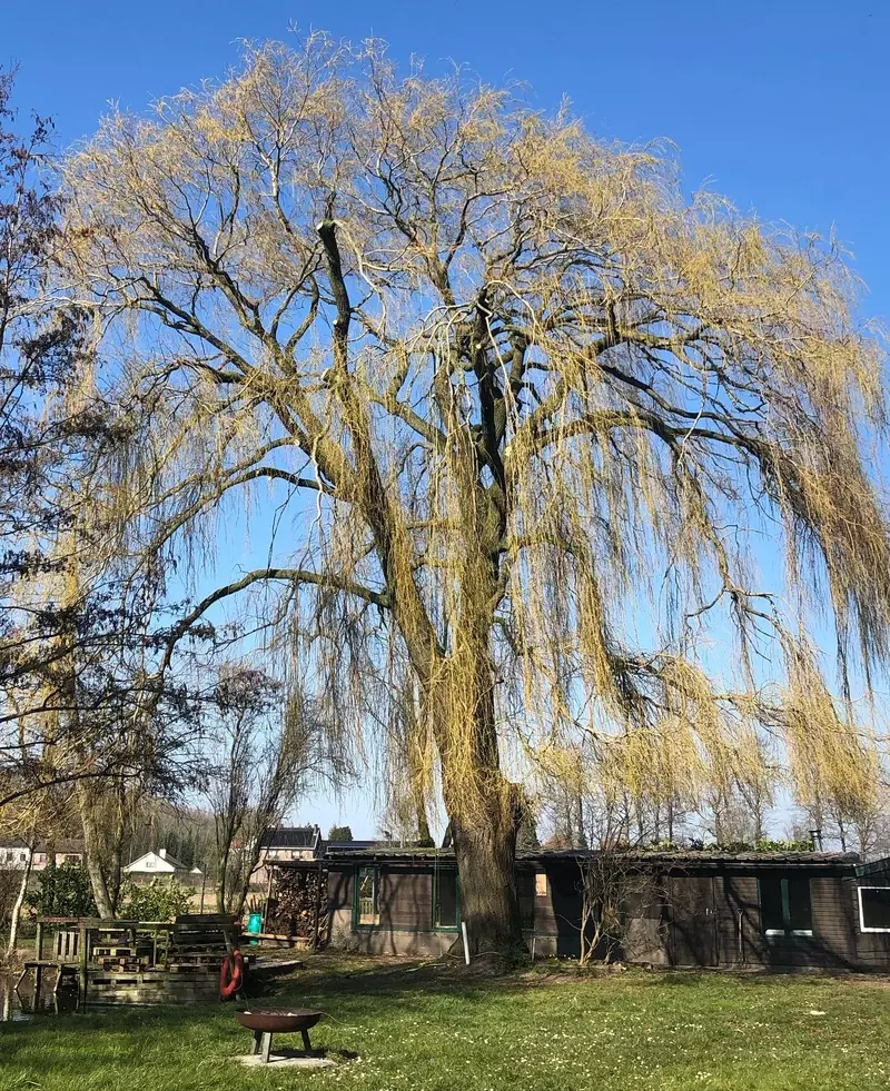 Van Haverbeke Tuinrealisaties
